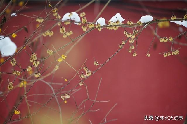 今日进一九，老话说“一九多晴天，坟头遍地起”，晴天有啥预兆？