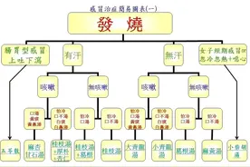 倪海厦：感冒咳嗽发烧常用方剂辨证 ​​​图片