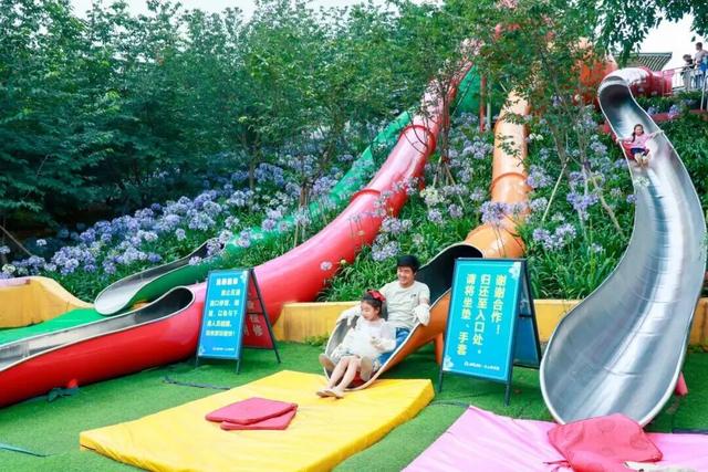 15万株绽放醉美菊花展，成都又美爆了！