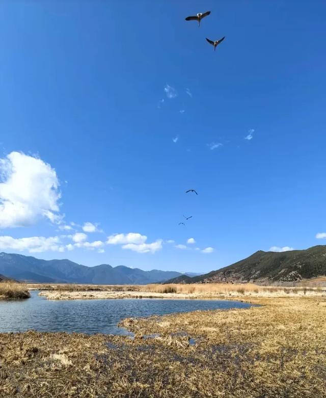 泸沽湖风情 | 走婚桥畔,摩梭情长