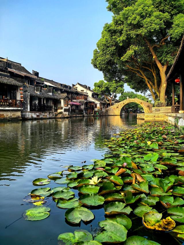 浙江十大古镇，你知道几个？
