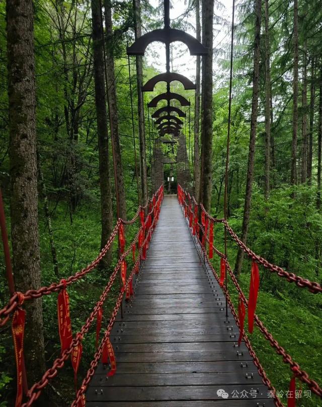 当秋雨掠过秦岭的山脊，汉中悄悄美成写意水墨画