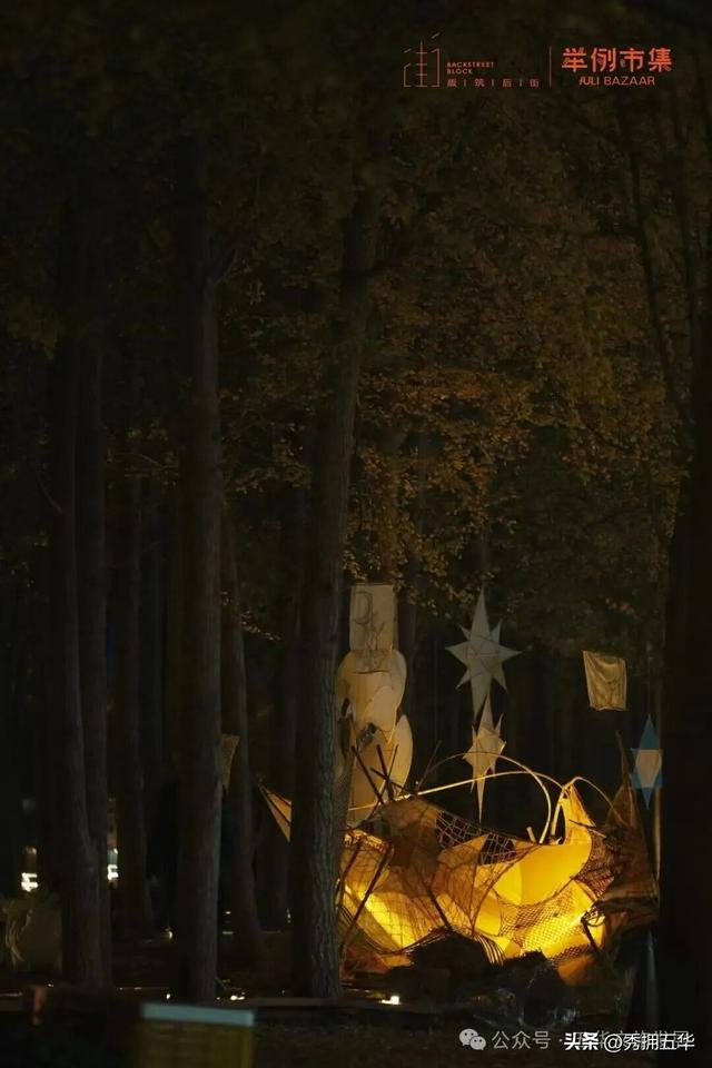 赏银杏、会海鸥，邂逅一场丰容的“昆明式暖冬”