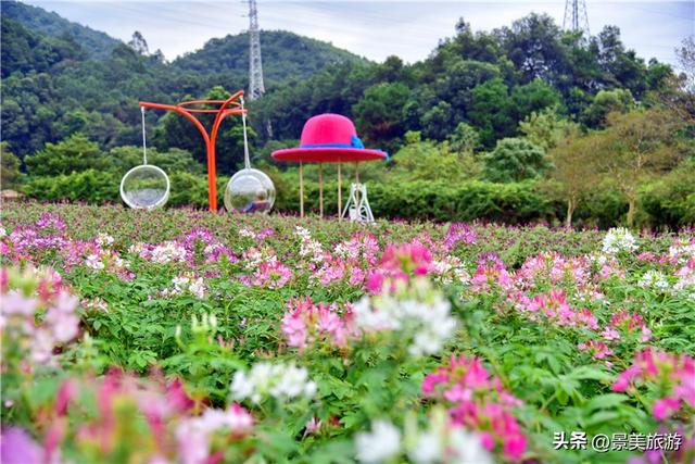 国庆邀约佛山卡玛花世界：在诗词花海中寻觅秋日情绪价值