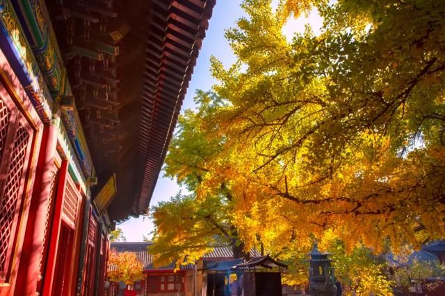 双节同庆，这份怀柔区游玩指南请收好
