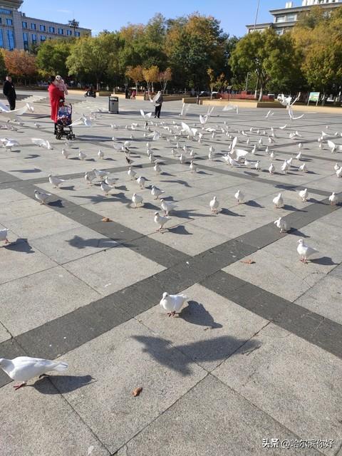 大连，这些地方值得一去