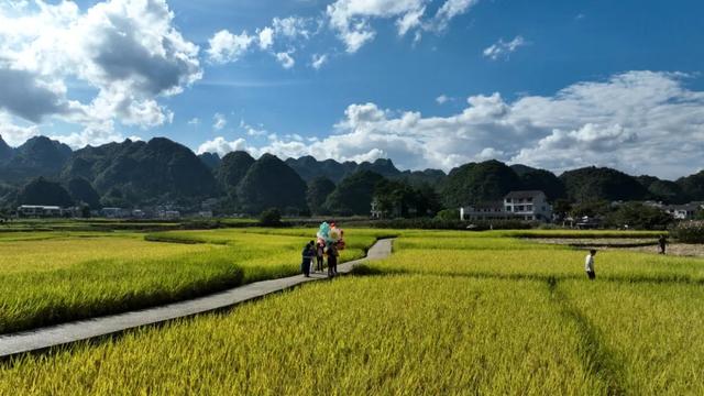 兴义万峰林：秋景正盛 开启身心疗愈之旅