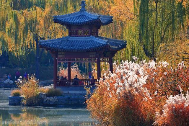 从北到南 “每一片叶子都是一朵鲜花”