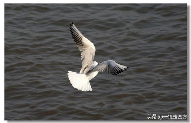 漫步丹东鸭绿江畔，可以隔江望见对岸的朝鲜