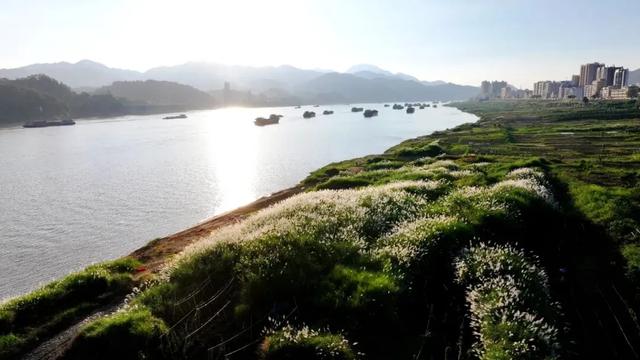 秋日限定!速来围观肇庆的绝美风光~