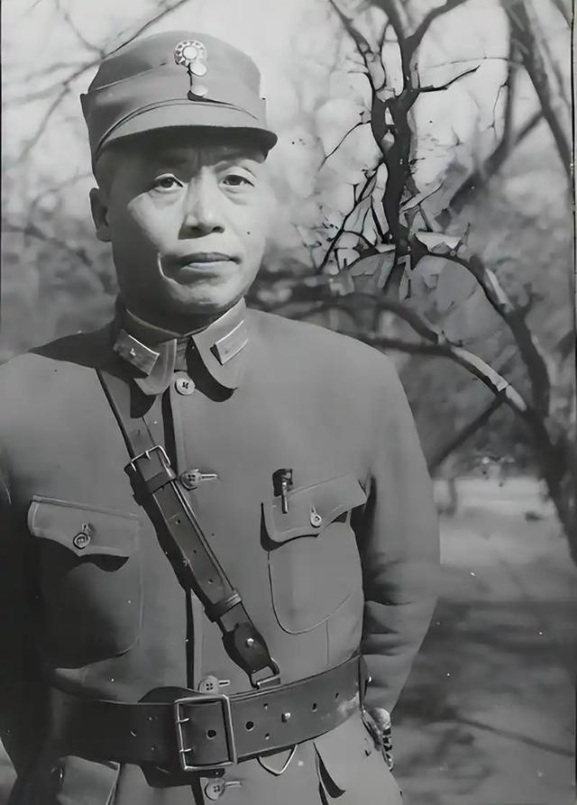 蒋介石晚年曾痛骂：我丢掉大陆怪不得别人，罪魁祸首就是这二人