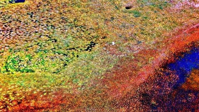 内蒙古杭锦旗：湿地秋景惹人醉