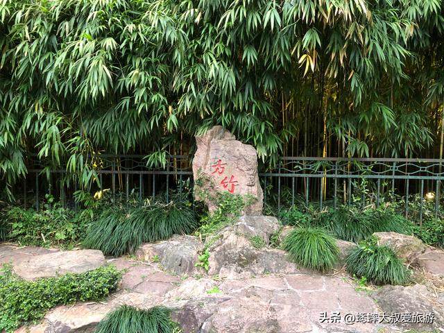 直接被杭州老牌景点迷住了，以缘为主，还能听戏，关键还有夜游！