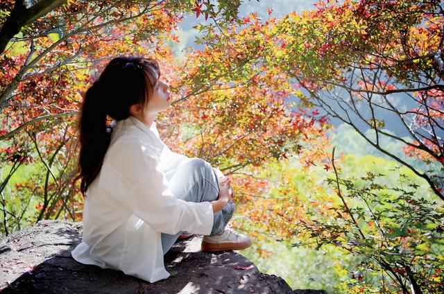 五裂槭进入最佳观赏期 吸引众多市民游客赏美景