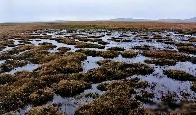 长征时期号称能“吃人”的草地，时隔80多年，现在是什么模样了？