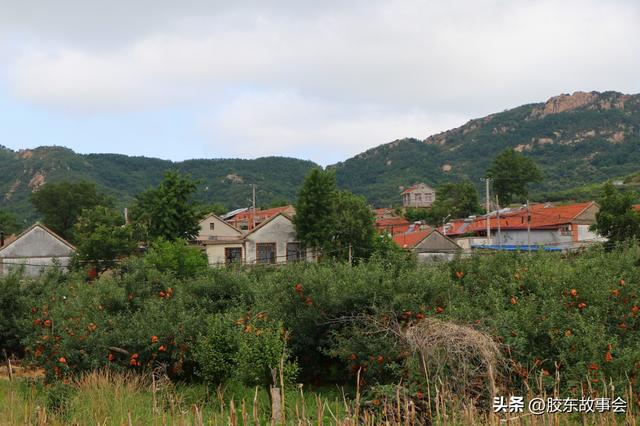 组图：蓬莱龙口交界线上一个山村的实景，名字叫作“石门口”