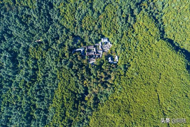 初访大理无为寺,宁静包容和不争的氛围着实感人,可惜不允许拍照