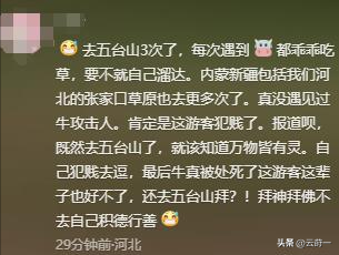 游客徒步遭牛群踩踏后续：景区回应，真相曝光后，网友直呼太活该