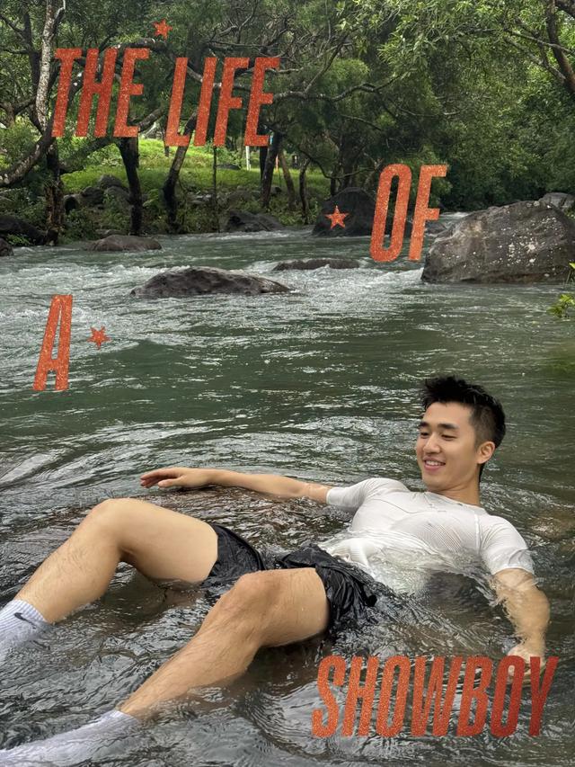 猫咪为什么喜欢钻纸箱?