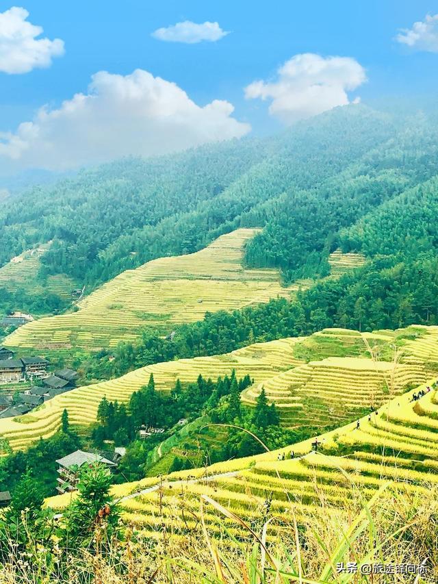 四海无闲田，一首《悯农》，有着这样的田园旅行启示录