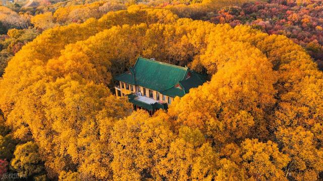 10月-11月，适合秋天去的6个城市，错峰出行，秋景更美