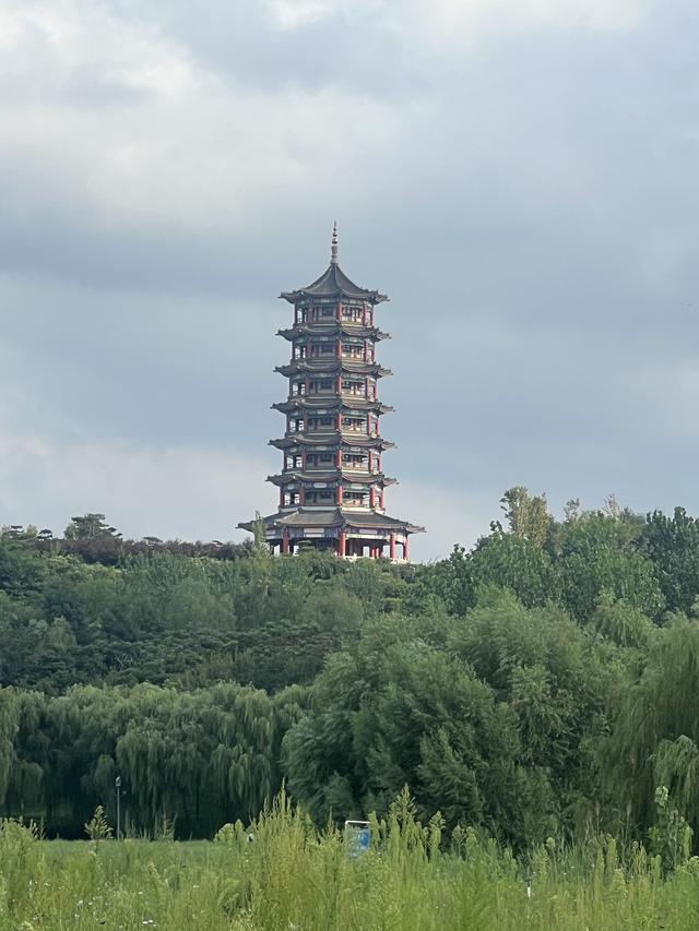 8月石家庄的滹沱河