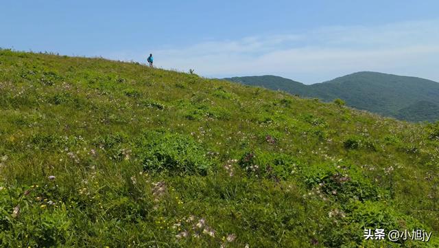 两次本溪南岭徒步记｜高山草甸，湖池松林，我被南岭种草