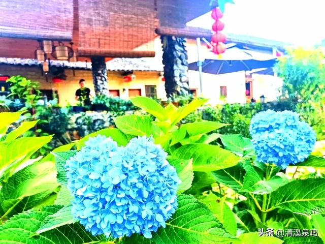 寻梦九峰菩提院