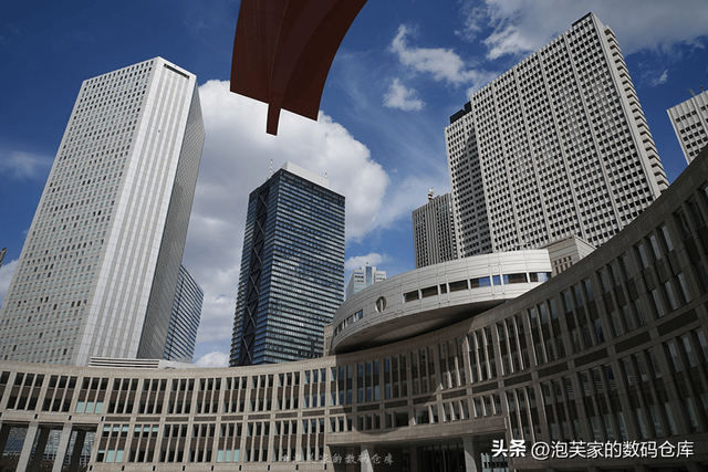 5999全画幅入门镜头？适马20-200mm 真一镜走天下 真刀锐奶化了！