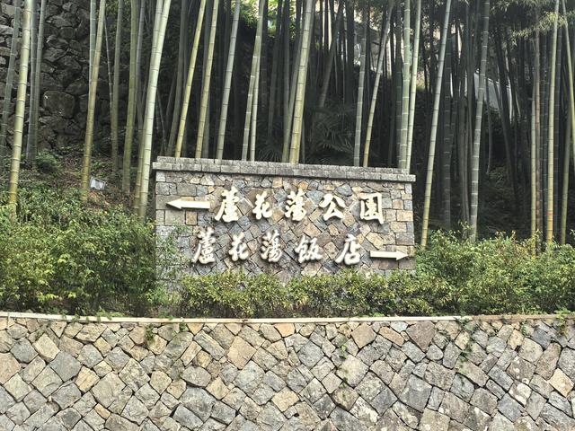 浙江湖州市德清县莫干山国家风景名胜区游记（下）