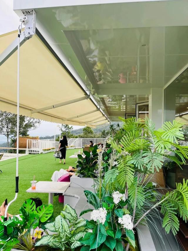 定向赛将至，来游峨桥美！11 月来 “茶香山水” 间解锁诗意乡村