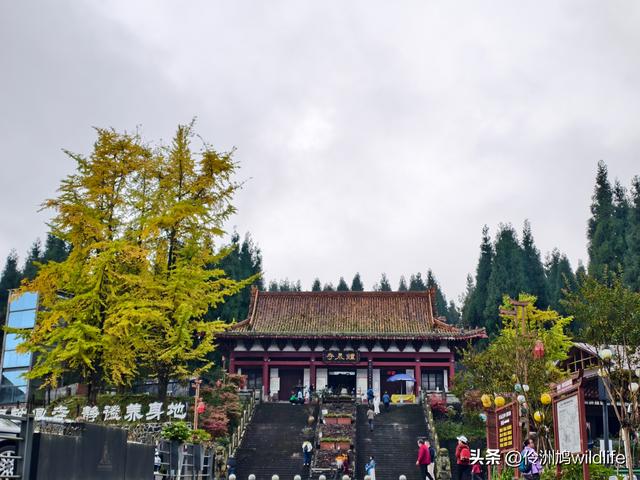 四川行(73)什邡红枫岭徒步到钟鼎寺