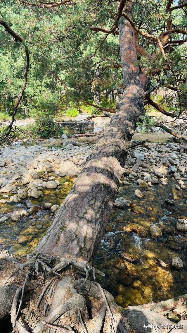 框一张我眼前的风景给你