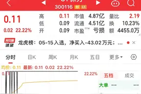 涨停谢幕，让其有尊严的退市！保力新不只是散户亏，有机构也深套图片