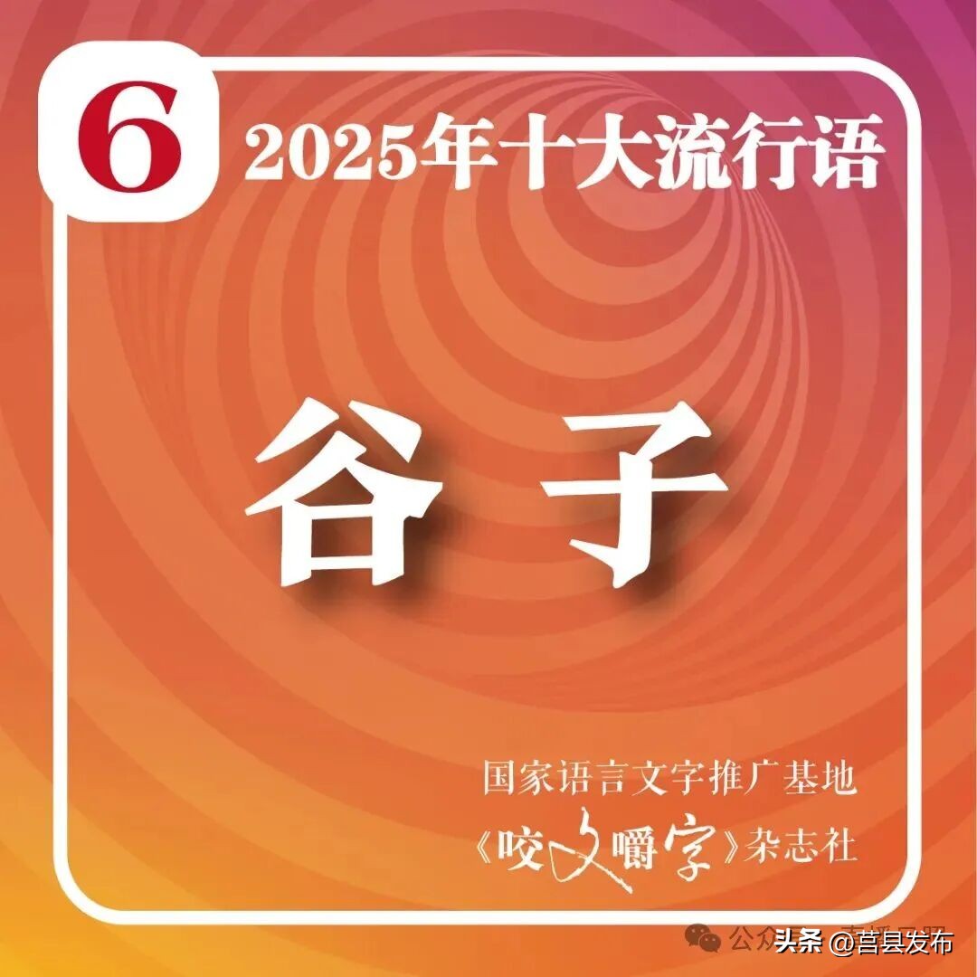 2025年十大流行语公布 智能时代语言新趋势
