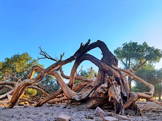 国内最“贵”的1条自驾线，完整走一圈10万起，退休后必走一趟！