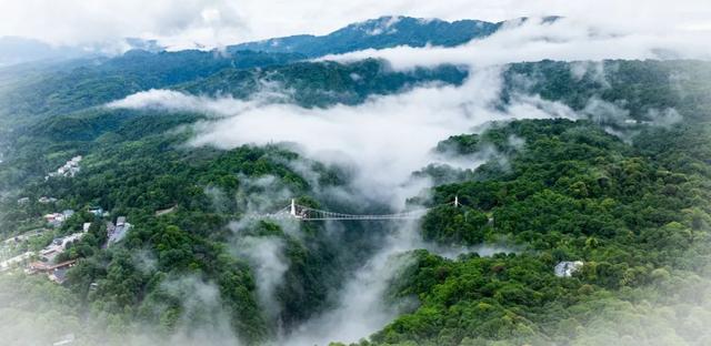 逃离高温！成都2H躲进峡谷避暑地，徒步森林瀑布、探秘野生动物！超萌奖牌周末就冲！