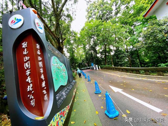 2023年春重庆探亲记（六）