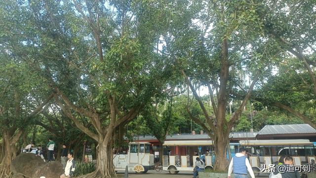 哭死！时隔30年再游湖光岩，竟被自己蠢哭在玛珥湖边！