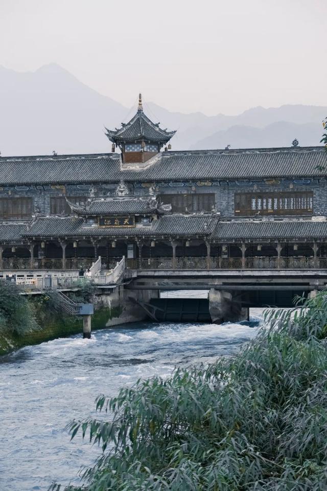 黄了！彩了！1h刹拢成都最近赏秋地，徒步拿奖牌、邂逅古寺银杏！老街美食好吃惨！