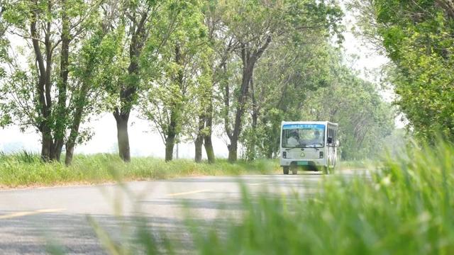 【黄河口生态旅游区】邂逅多彩黄河口，赴一场自然与生命的浪漫之约