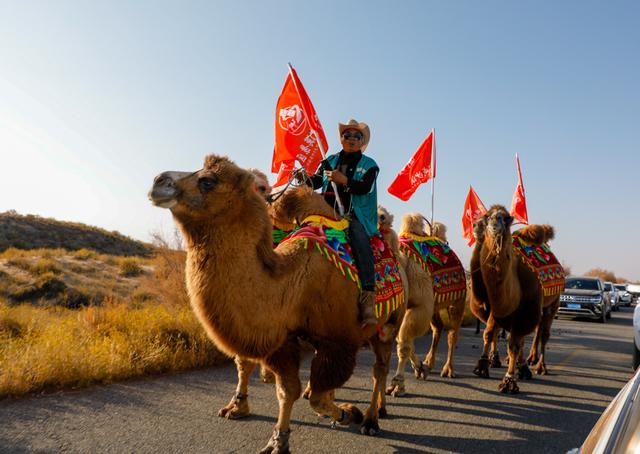 【组图】驼铃响古浪，这支丝路队伍从东天山走来！