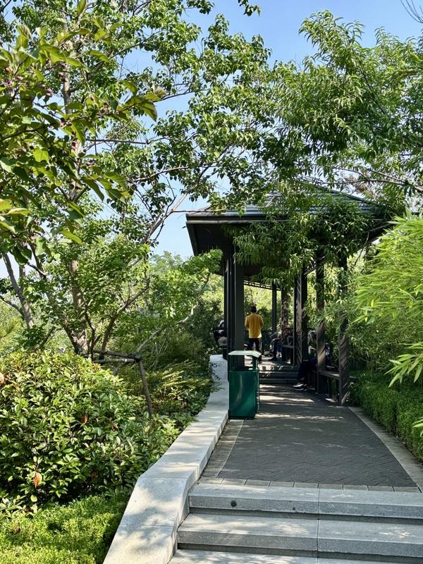 一座藏在青岛主城区内的森林氧吧