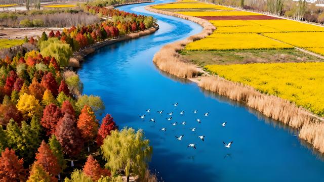 朔风拂过贺兰山，秋韵漫染湖城间 —— 塞上江南的鎏金诗卷