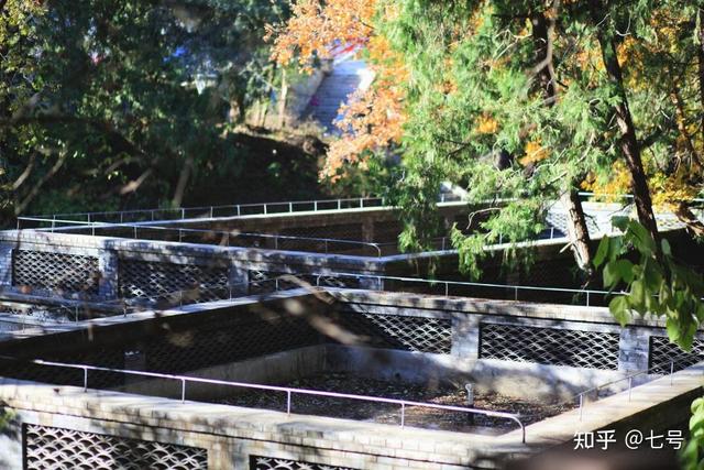 在八大处，寻到了北京最美的秋