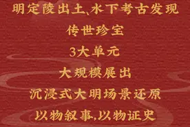 免费观展！南山博物馆又有大展即将上线！附预约入口图片