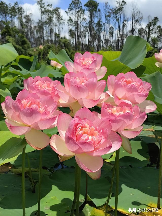 两性关系：女人多大岁数，就不想男人了，过来人告诉你答案