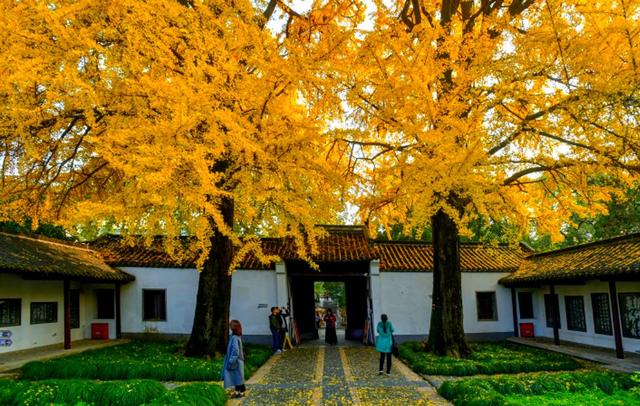 扬州冬始，园林私语