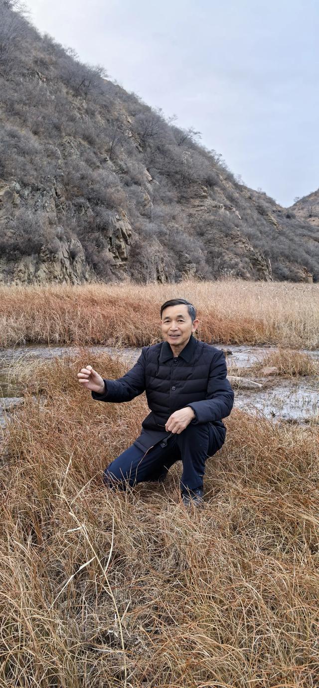 宣化瓦窑头水库芦苇成片,水天一色值得观看