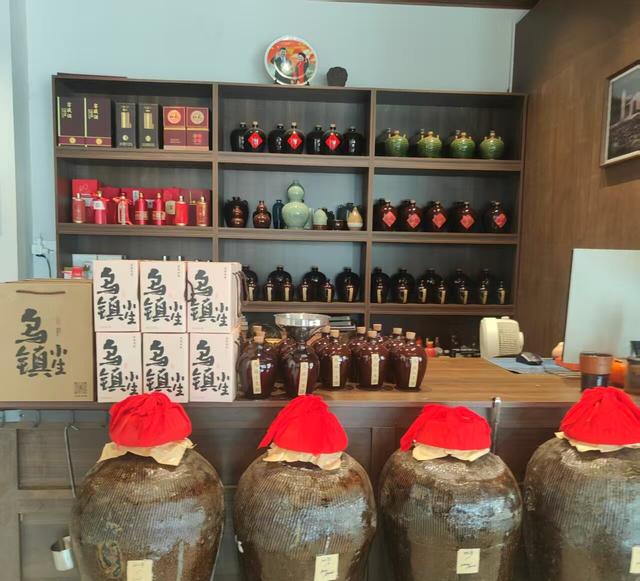摇起乌篷船 • 直奔乌镇来！